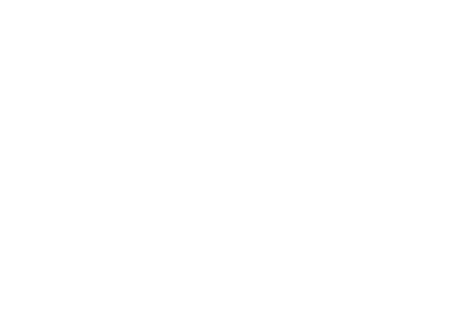 Nineteenth Society